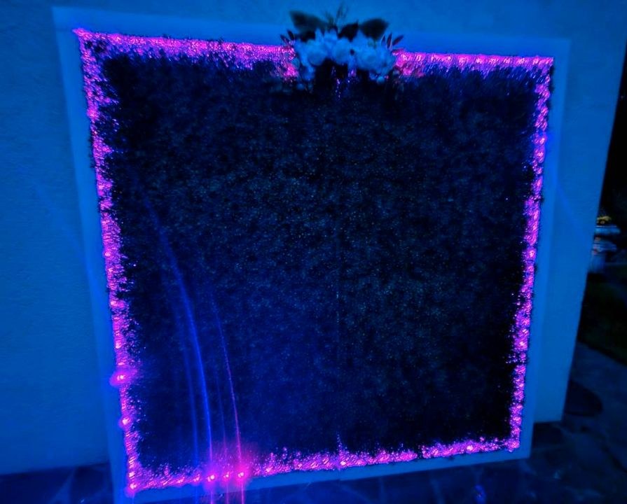 N* Fotowand beleuchtet Blumenwand mieten bei WOW-Event-de Klemm Silvio – 2