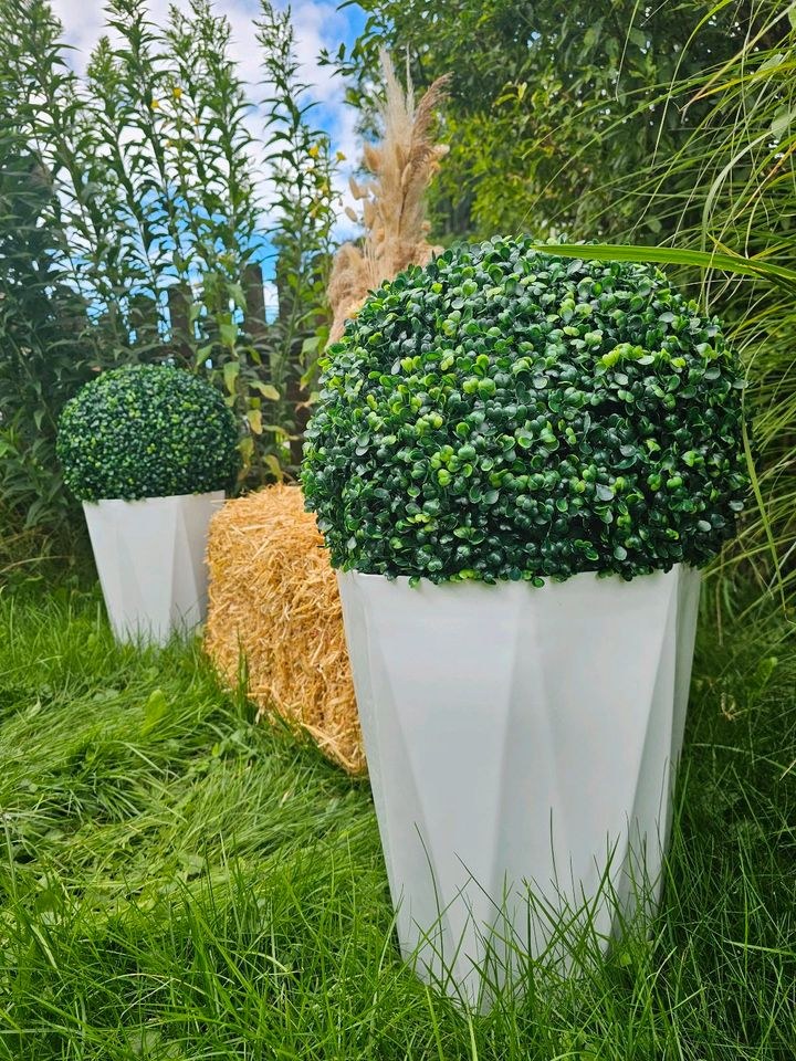 Buchsbaumkugel Deko mieten in Lechbruck – für die Hochzeit
