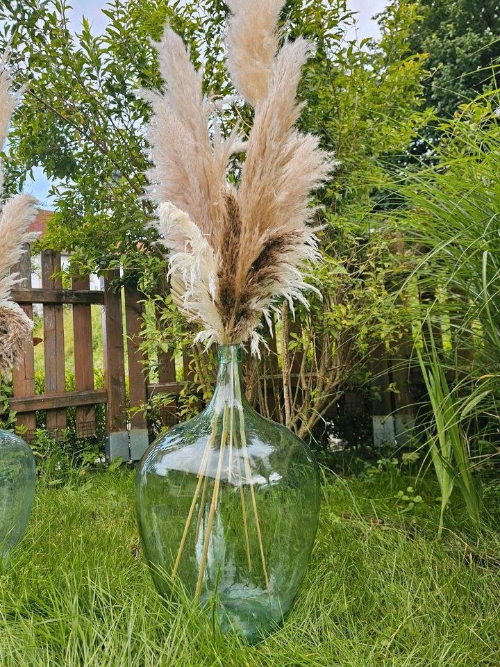 N Glasballon Vase Pampasgraswedel Boho mieten in Lechbruck – 2