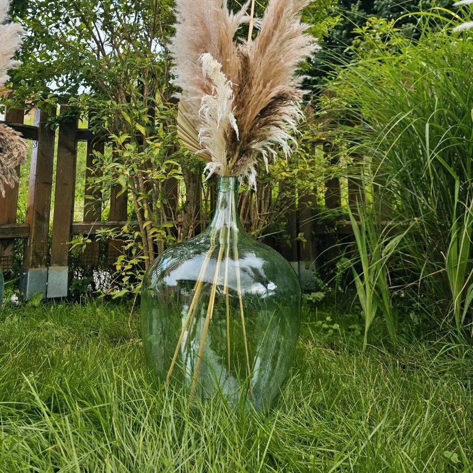N Glasballon Vase Pampasgraswedel Boho mieten in Lechbruck
