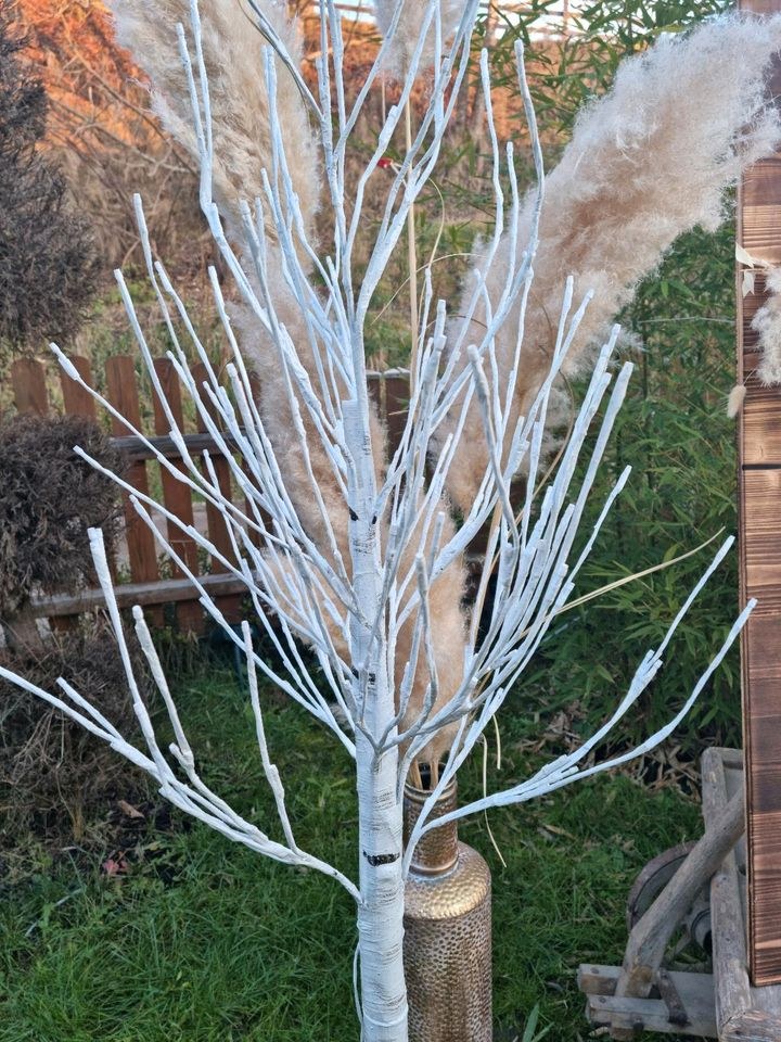 LED Birke Baum mieten in Lechbruck – Licht für Party & Event – 4