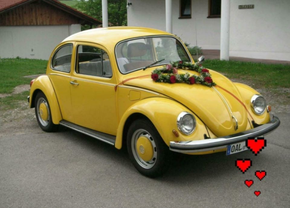 N VW Käfer Oldtimer mieten in Lechbruck – für Hochzeit & Ausfahrt – 2