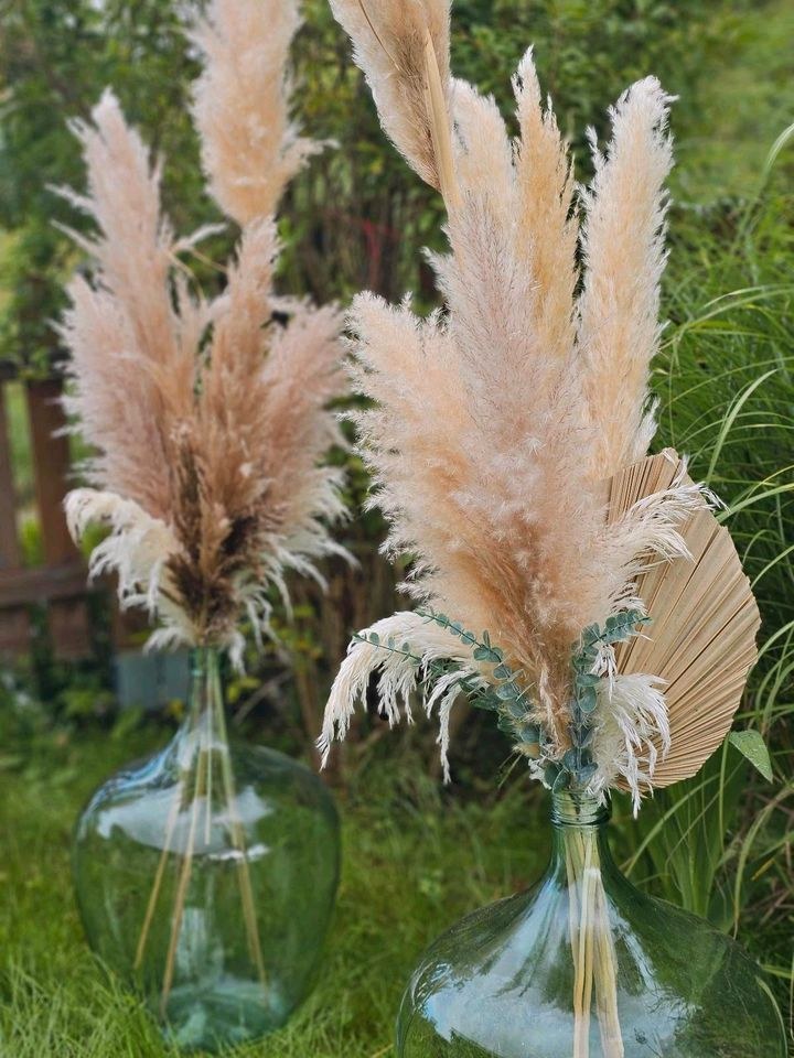N Glasballon Vase Pampasgraswedel Boho mieten in Lechbruck – 4