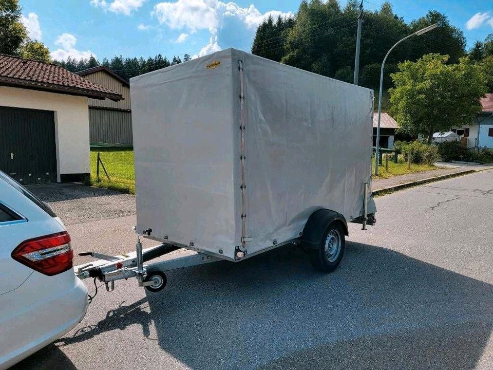 Humbaur Planenanhänger 1.5t Anhänger Umzug mieten in Senden – 2