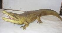 Krokodil Figur, Tier, Wildtier, Zoo, Kroko, Wassertier – 2