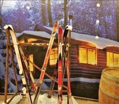 Skiständer, Ski, Alpen, Berge, Schnee – 4