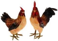 Hühner - Figuren, Huhn, Bauernhof, Tier – 2