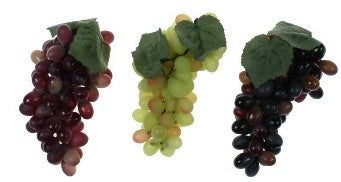 Wein- und Efeuranken, Wein, Weinranken, Efeuranken, Efeu, Blumen, Trauben – 4