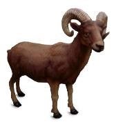 Widder Figur, Widder, Bock, Steinbock, Bergziege – 2