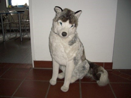 Husky Stofftiere, Huskys, Schlittenhunde, Schlitten, Tier, Hund