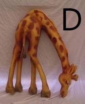 Giraffen Figur, Giraffe, Tier, Wildtier, Tierfigur, Afrika, Savanne – 4