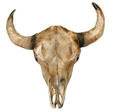 Kuhschädel, Schädel, Kuh, Rind, Figur, Western, Wilder Westen, Cowboy – 2