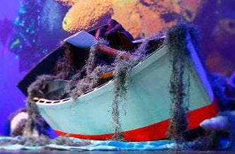 Ruderboot, Paddelboot, Boot, Anglerboot, Angeln, Schiff