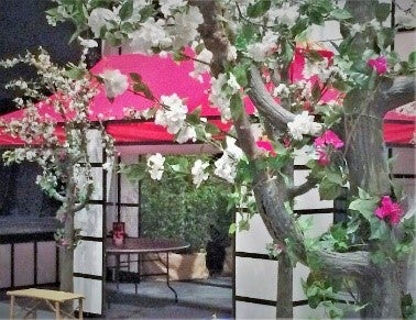 Kirschblütenbaum - künstlicher Baum - China - Japan - Bäume - Kirschen – 3