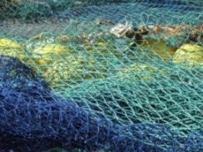 Fischernetz - Reusen - Fisch - Fischer - Wasser - Fischen - Angeln – 2