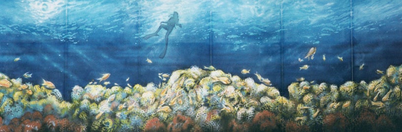 Korallenriff Kulisse, Unterwasser, Meer, Tauchen, Taucher