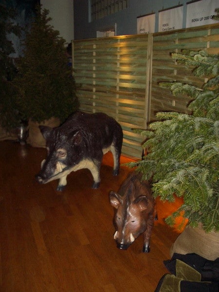Wildschwein Figur, Wild, Keiler, Waldtier, Wildtier, Tierfigur, Tier – 3