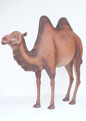 Kamel Figur, Wüste, Orient, Tier – 2