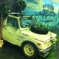 Safari Jeep, Auto, Dschungel, Afrika – 3
