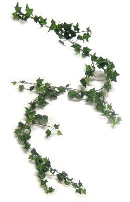 Wein- und Efeuranken, Wein, Weinranken, Efeuranken, Efeu, Blumen, Trauben – 3