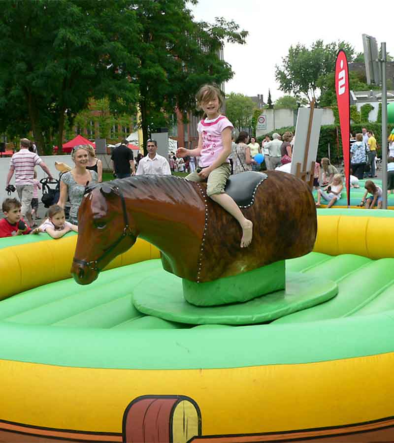 Rodeopferd (inkl. 1 Betreuer) mieten bei Der Spassmacher