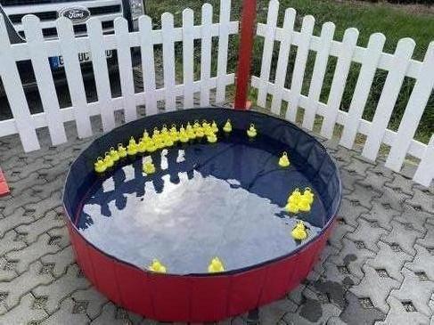 Entenangeln | Spielmodule mieten bei der Dreamcatcher Eventagentur – 4