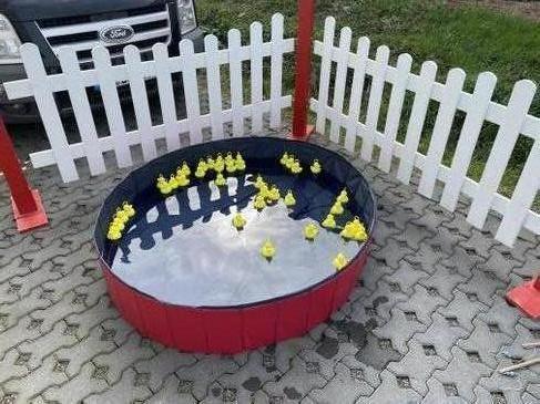 Entenangeln | Spielmodule mieten bei der Dreamcatcher Eventagentur – 3