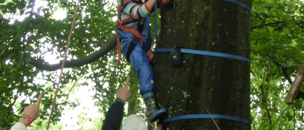 Baumklettern mieten in Blaustein