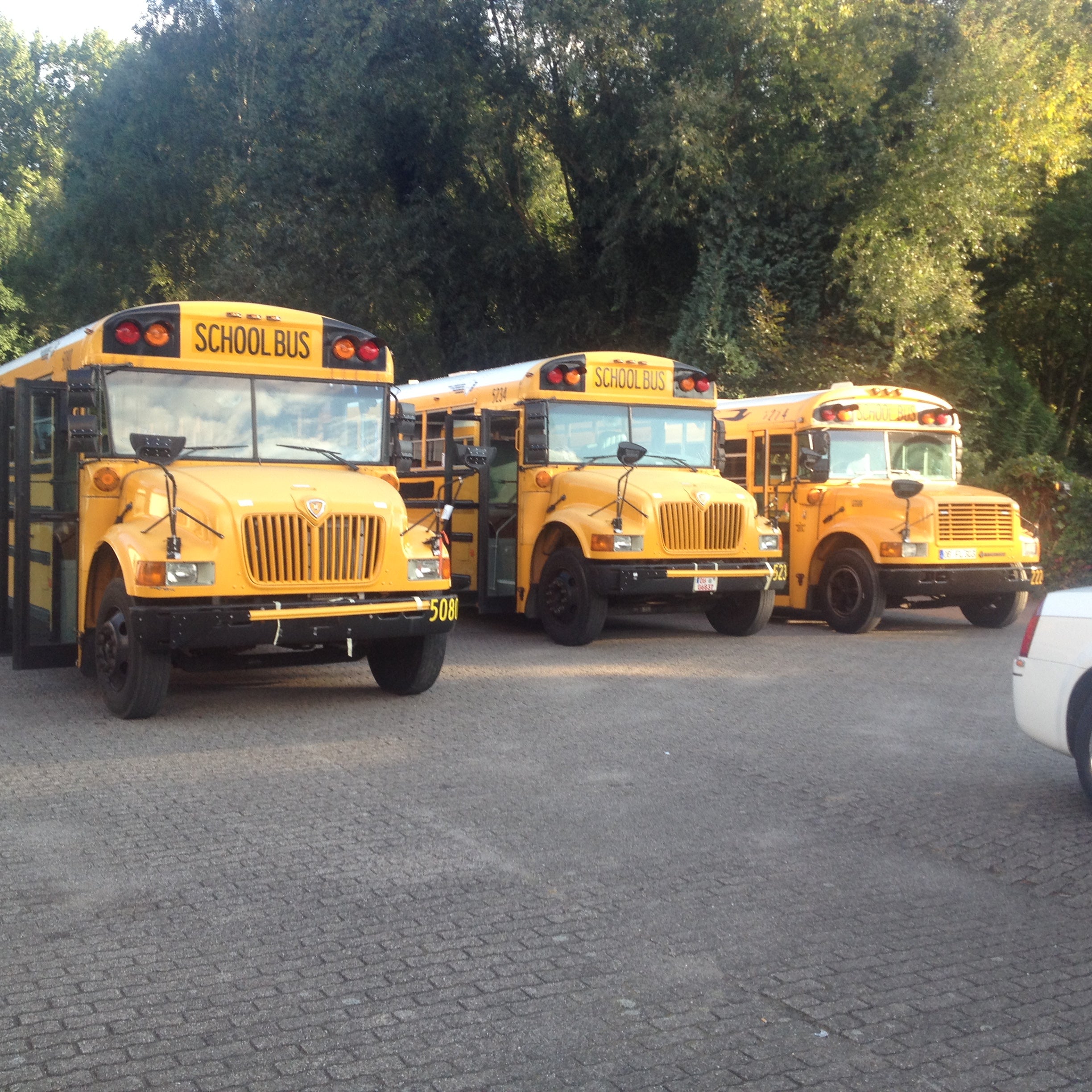 US-Schoolbus – 2
