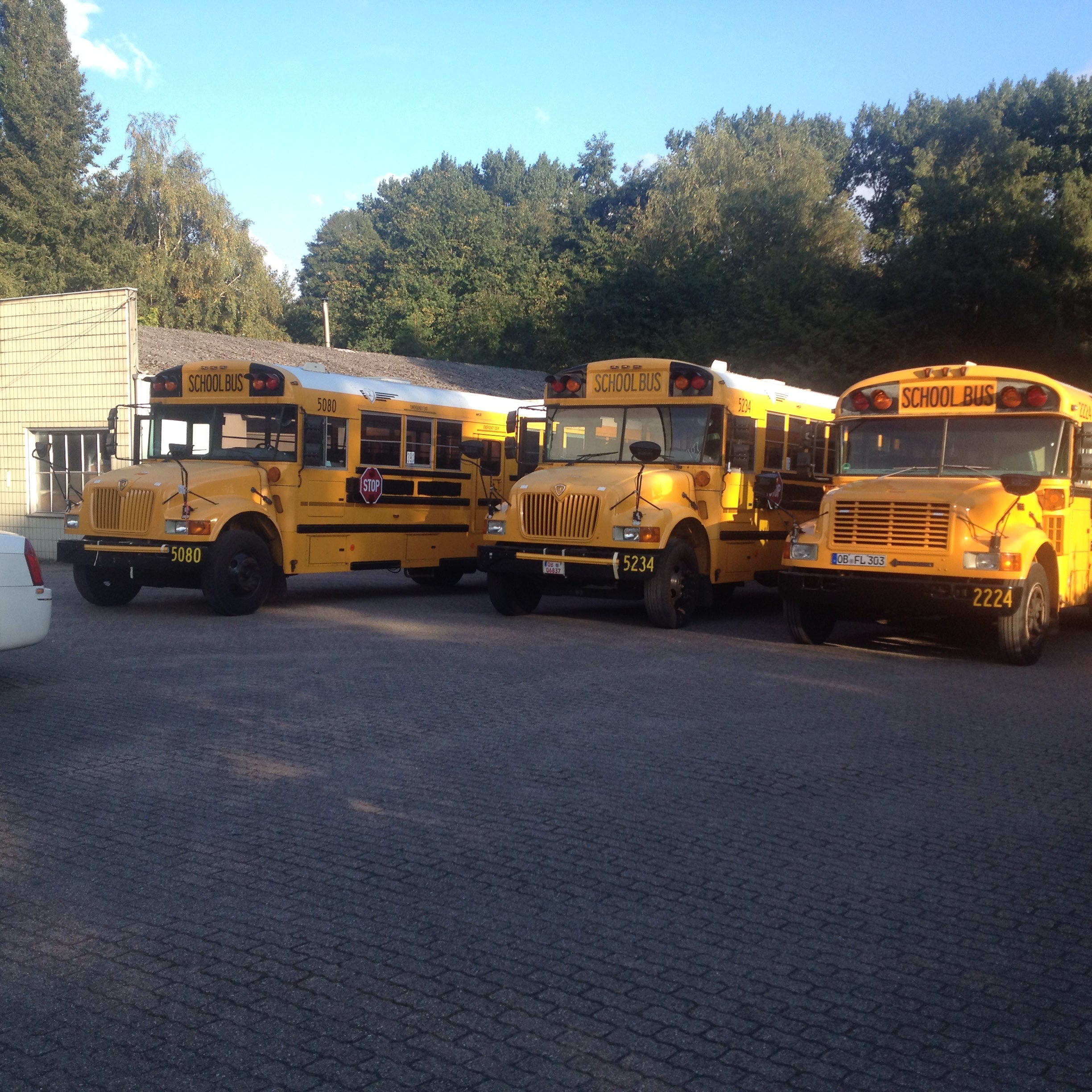 US-Schoolbus