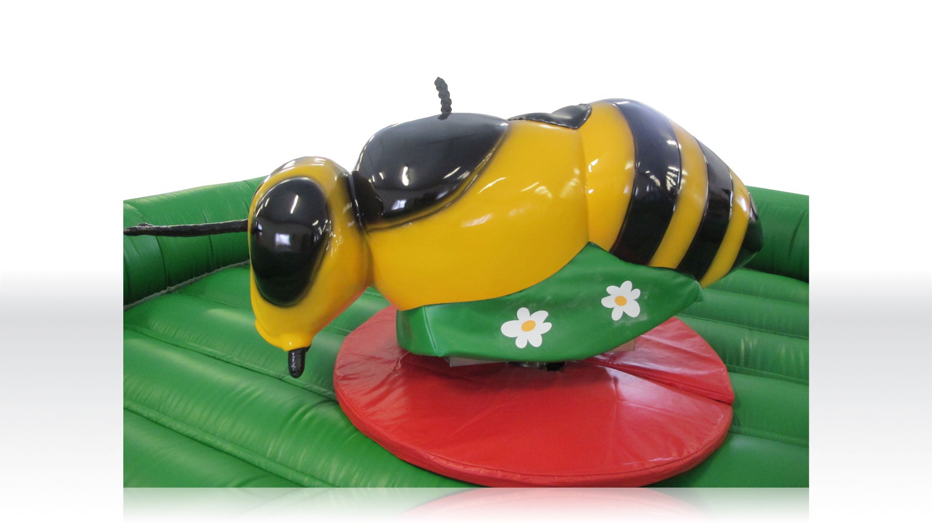Bienenreiten, Rodeo, Simulator mieten