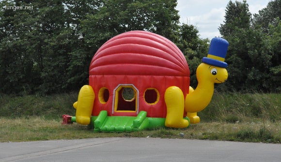 Hüpfburg Schildkröte - Schildkrötenhüpfburg - Tierhüpfburg mieten – 2