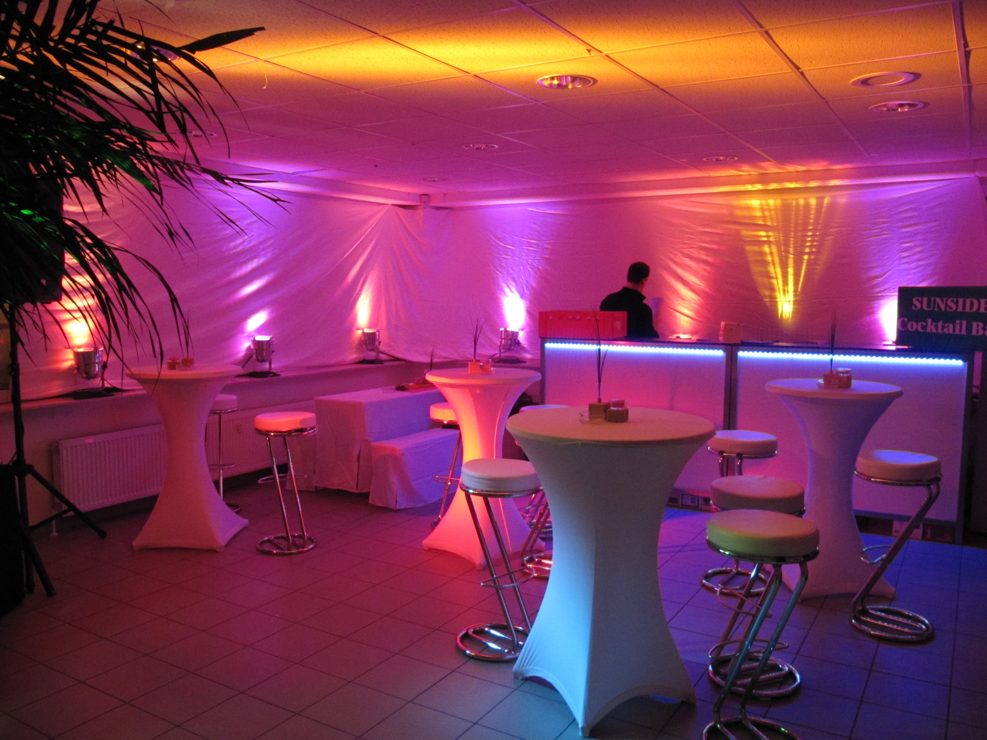 LED PAR 56 Scheinwerfer (Floorspots) (1 Paar) – 2