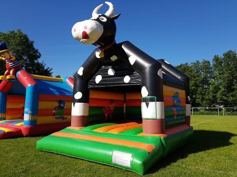 Hüpfburg Kuh oder Party, uvm. mit praktischen Wetterdach