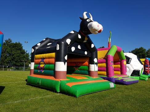 Hüpfburg Kuh oder Party, uvm. mit praktischen Wetterdach – 2