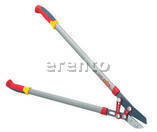 Astschere