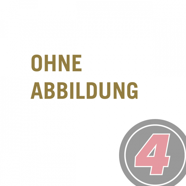 Gewichte für Faltpavillon, 4er Set mieten