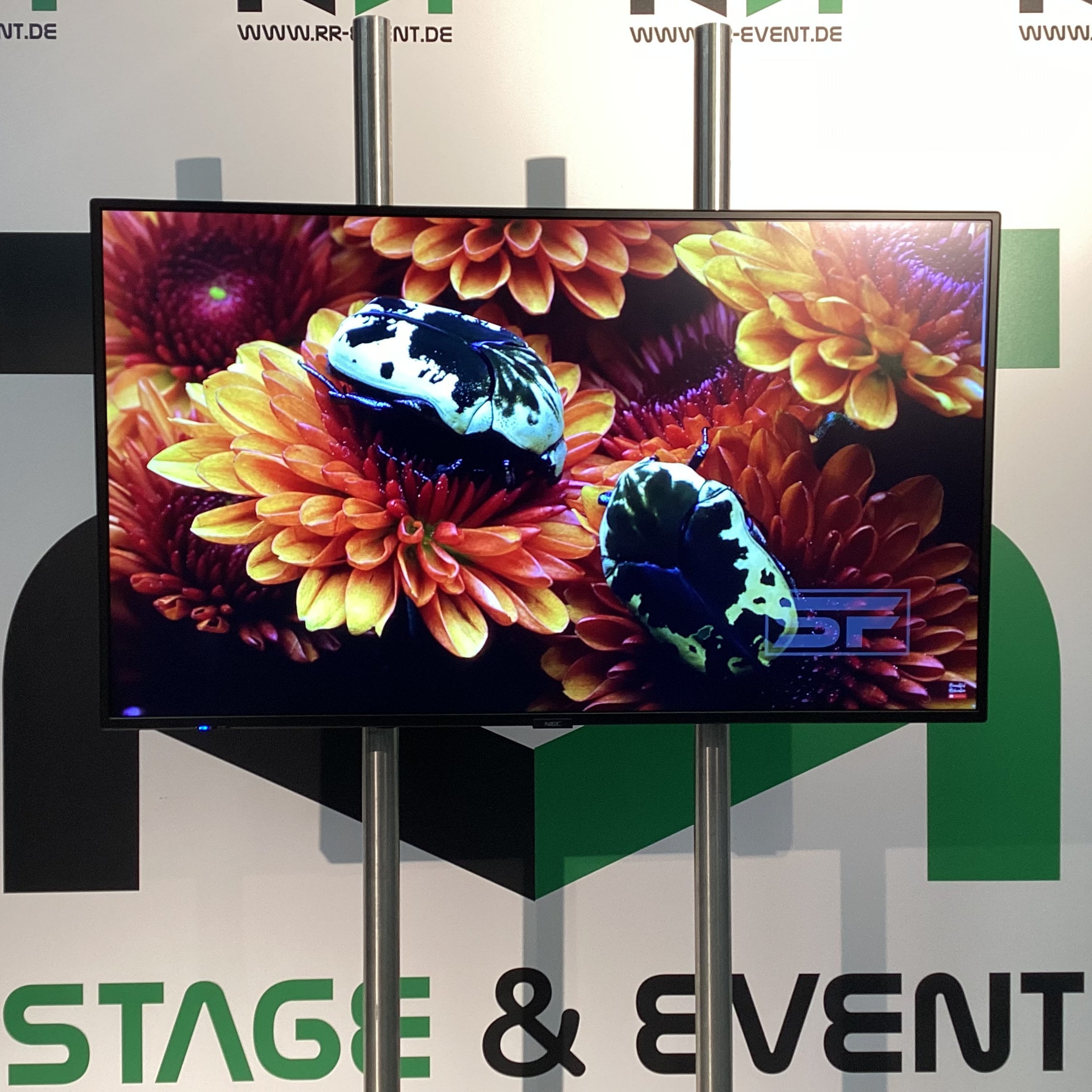 49 Zoll 4k Monitor – 2 Meter Ständer, tageslichtsichtbar. – 4