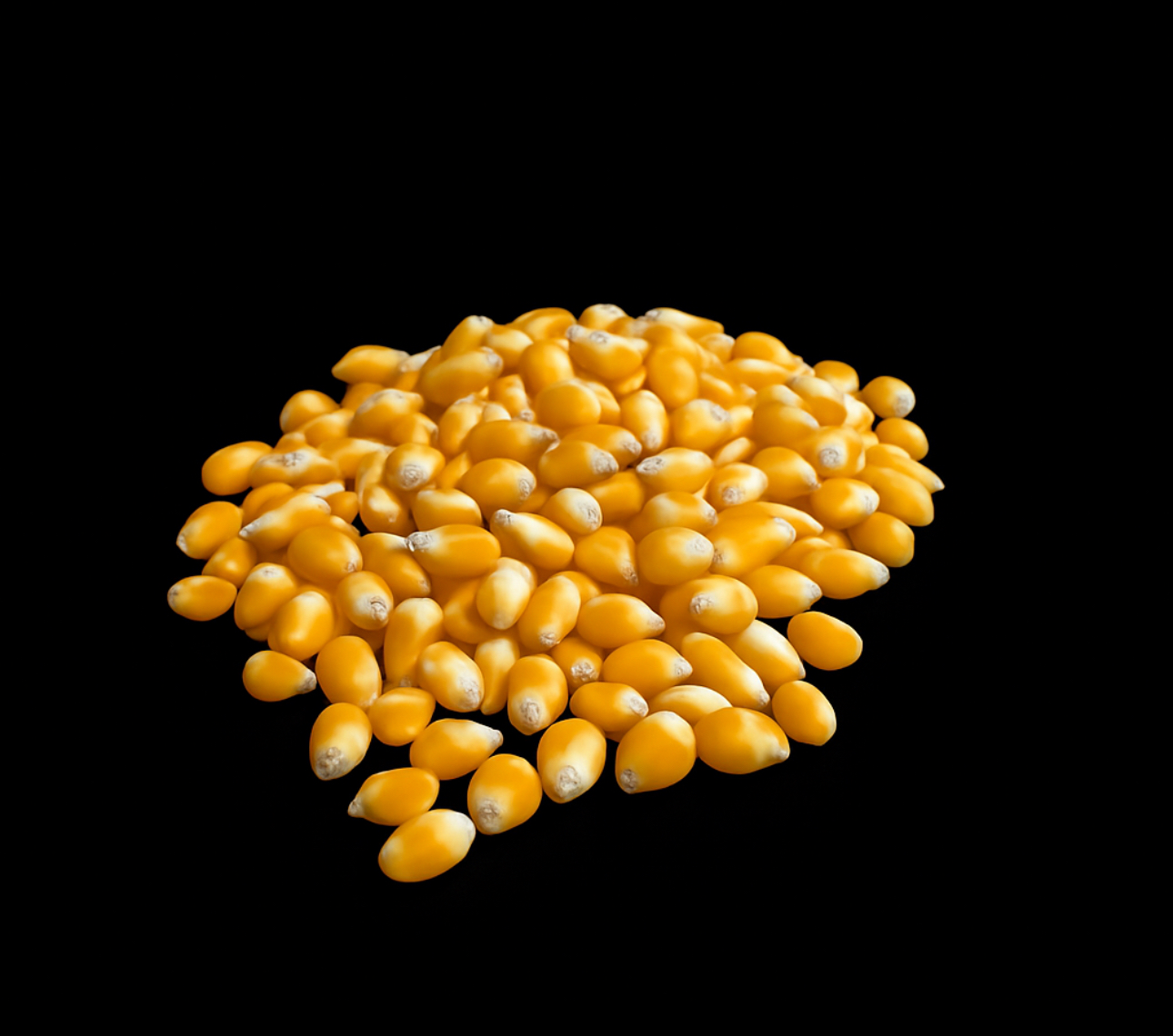 Extra Zubehör für 250 Portionen Popcorn mieten bei der Spülkiste