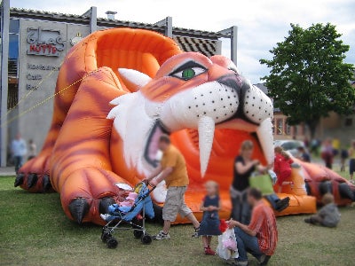 Riesenrutsche Tiger – 3