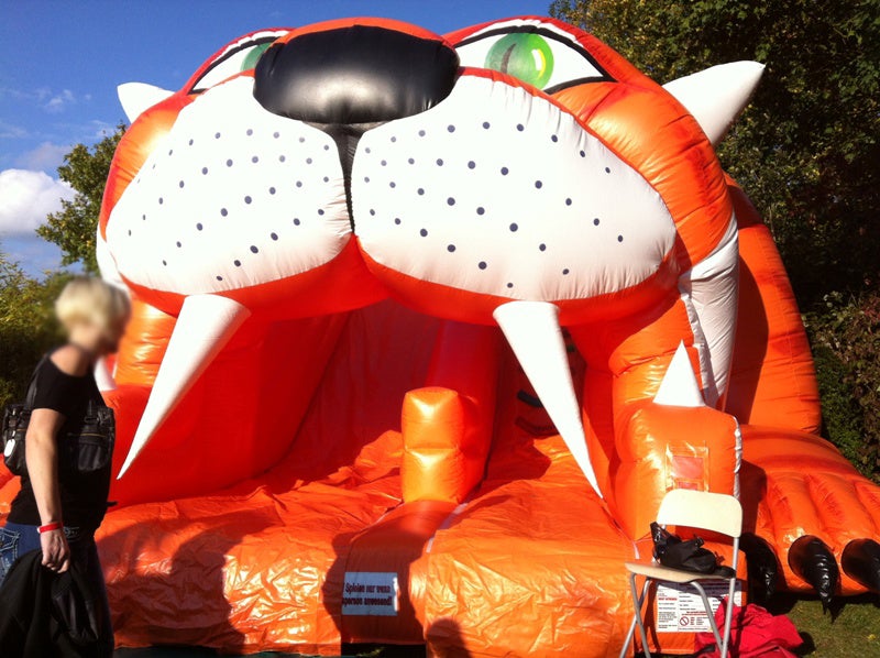 Riesenrutsche Tiger – 2