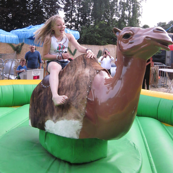 Kamel Rodeo mieten bei Xtreme Events
